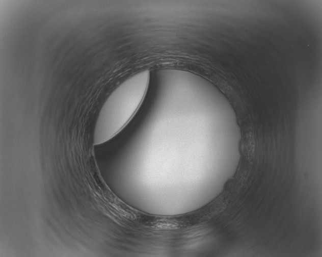 X0000086050653200703230922
