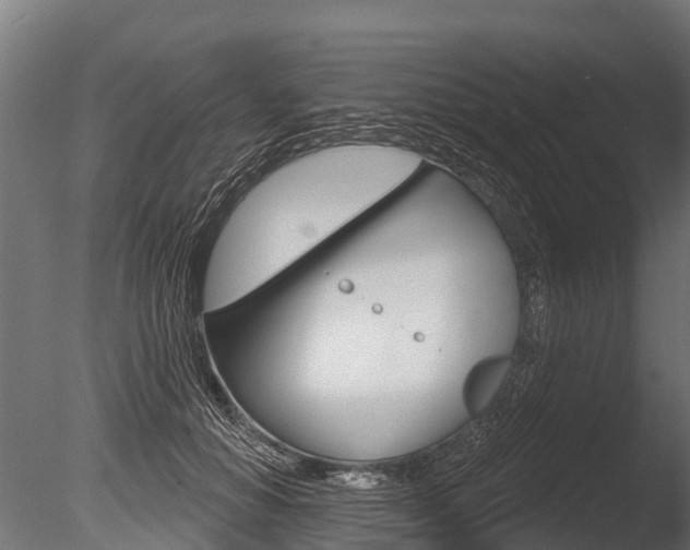 X0000086050654200703230922
