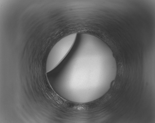 X0000086050655200703230922