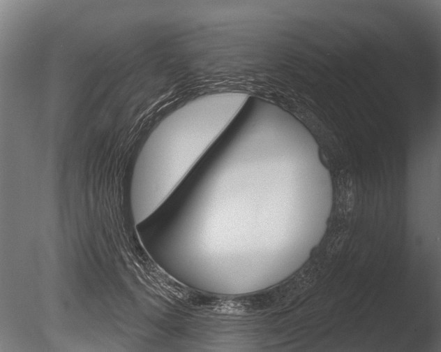 X0000086050656200703230922