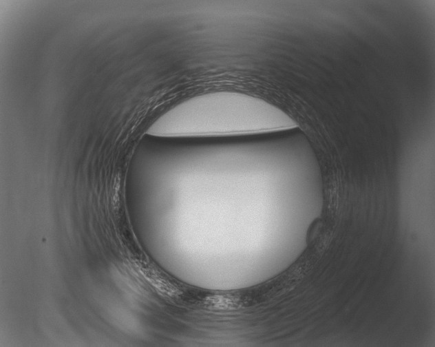 X0000086050660200703230922