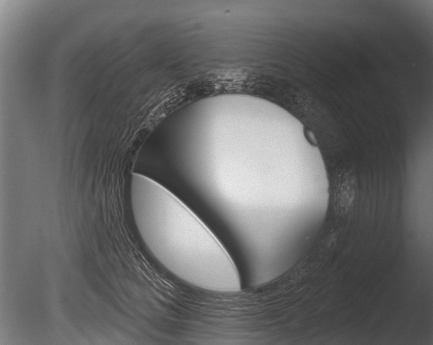 X0000086050661200703230922