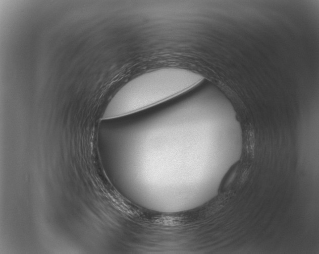 X0000086050664200703230922