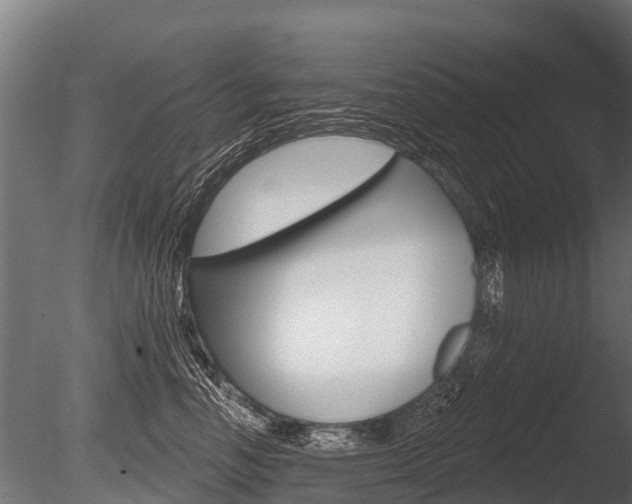 X0000086050666200703230922