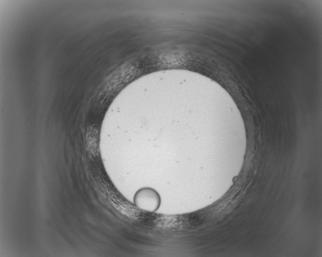 X0000086050672200703230922