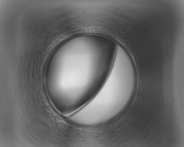 X0000086050673200703230921