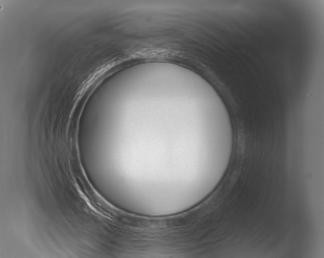 X0000086050674200703230921