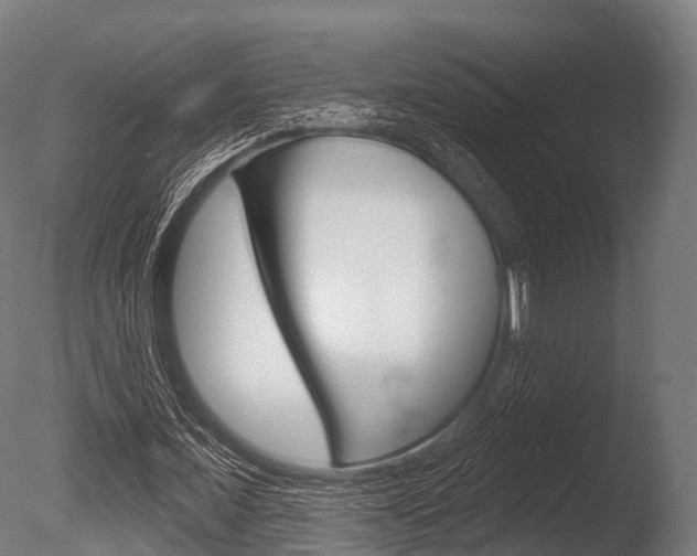 X0000086050675200703230921