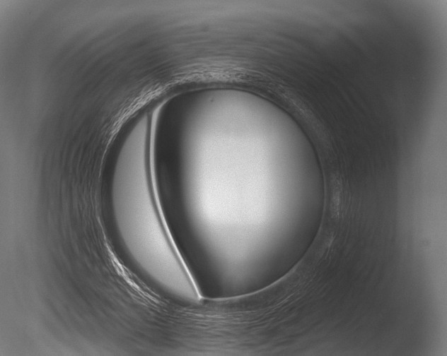 X0000086050677200703230921