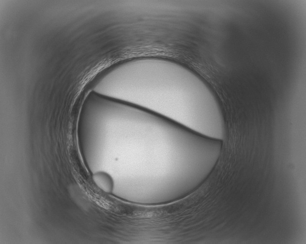 X0000086050679200703230921