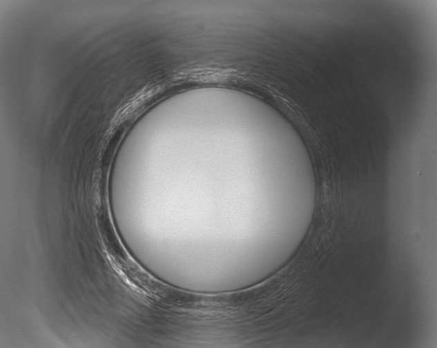X0000086050682200703230921