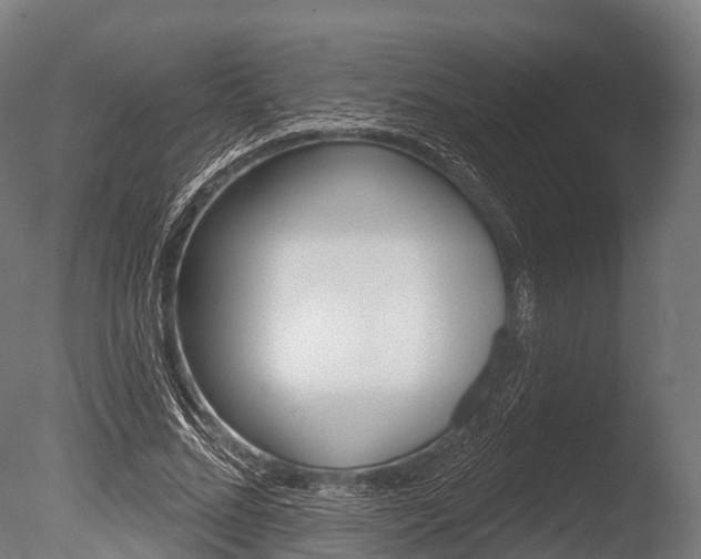 X0000086050684200703230921