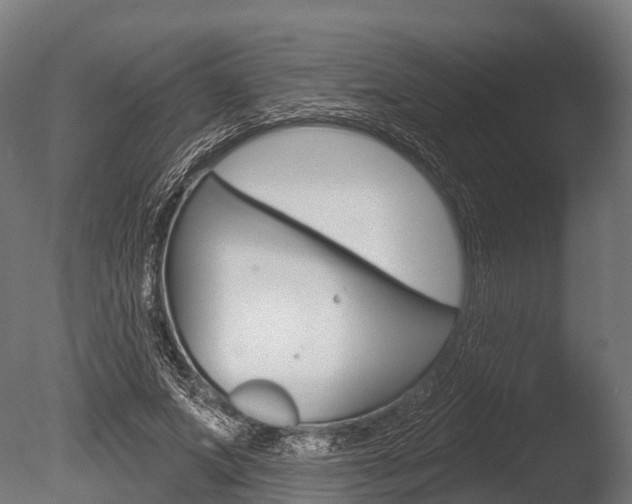 X0000086050687200703230921