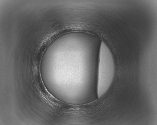 X0000086050688200703230921