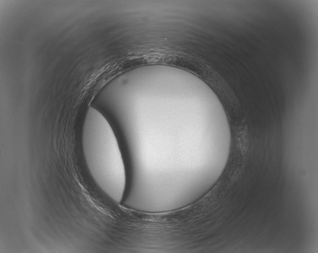 X0000086050690200703230921