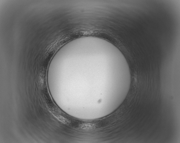 X0000086050691200703230921