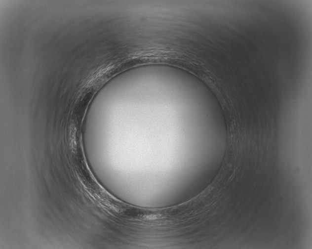 X0000086050692200703230921
