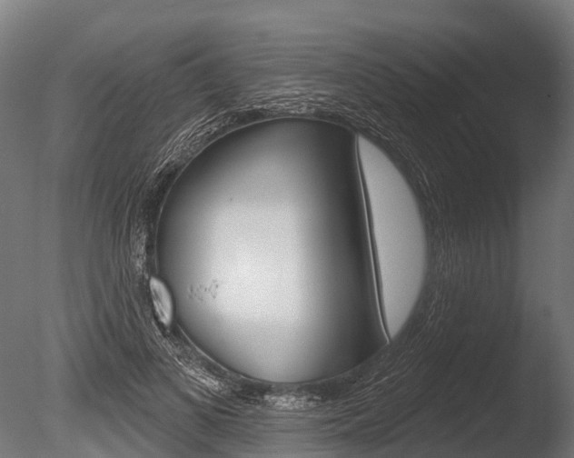X0000086050693200703230921