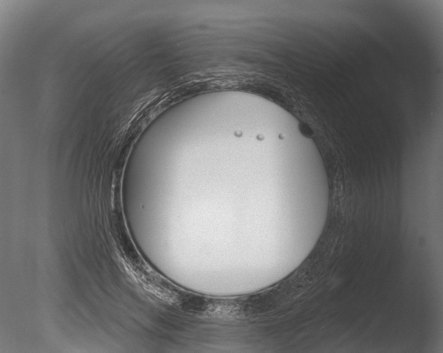 X0000086050694200703230921