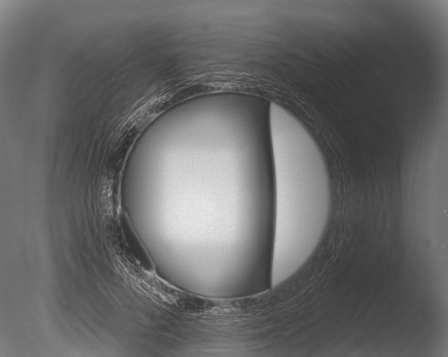 X0000086050696200703230921