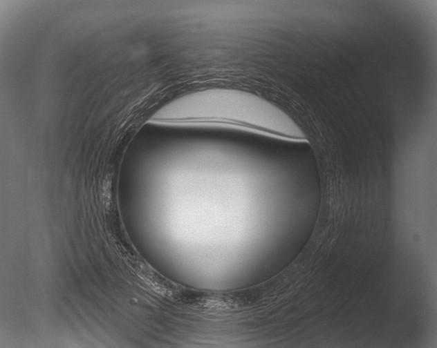 X0000086050697200703230921