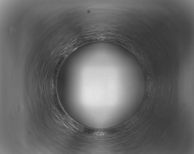X0000086050704200703230921