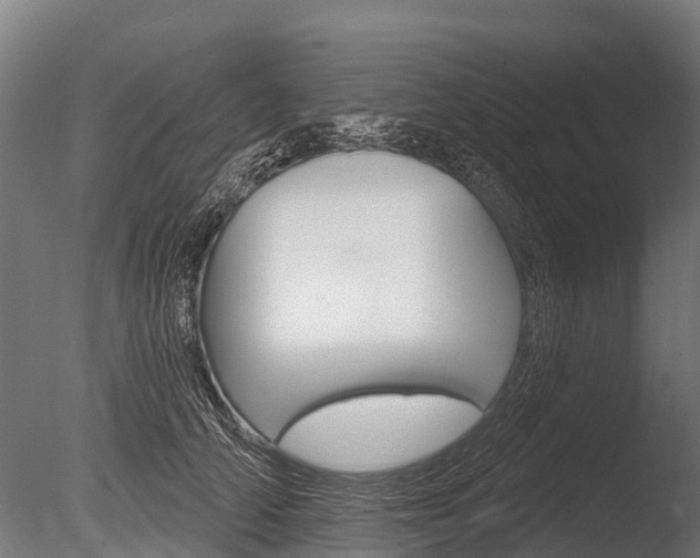 X0000086050706200703230921