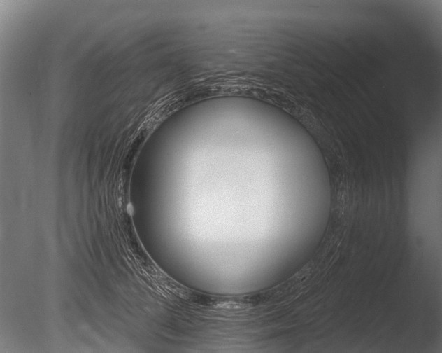 X0000086050708200703230921