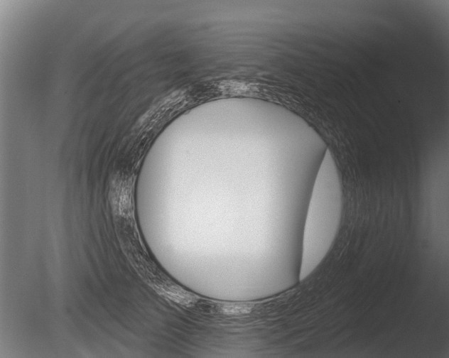 X0000086050709200703230921
