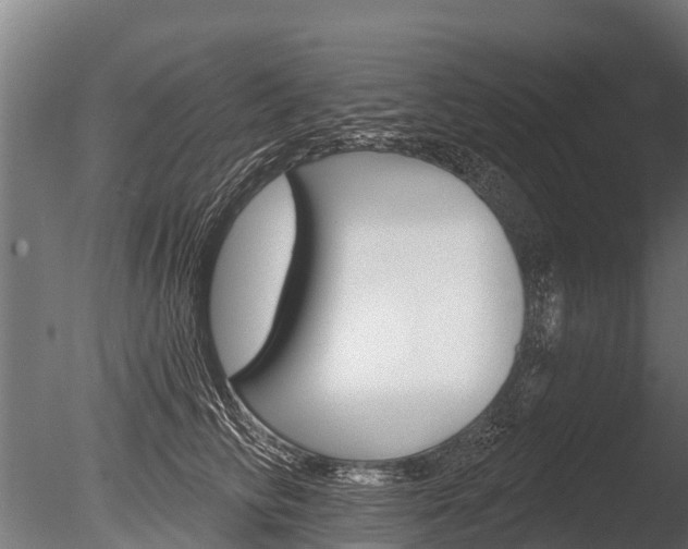 X0000086050710200703230921