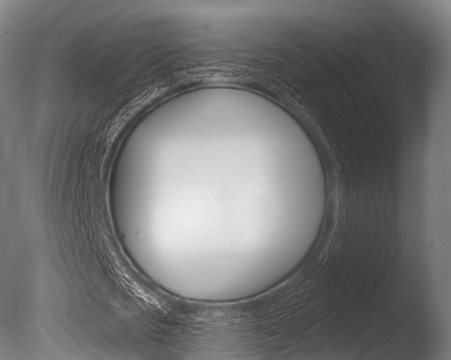 X0000086050721200703230920