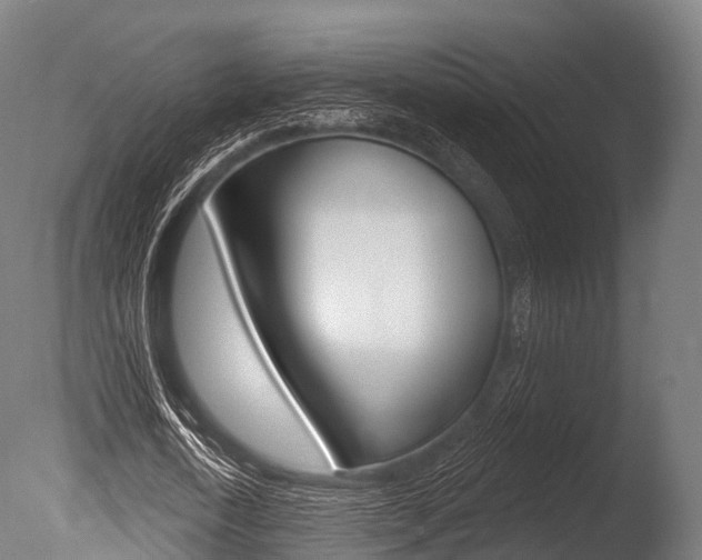 X0000086050722200703230920