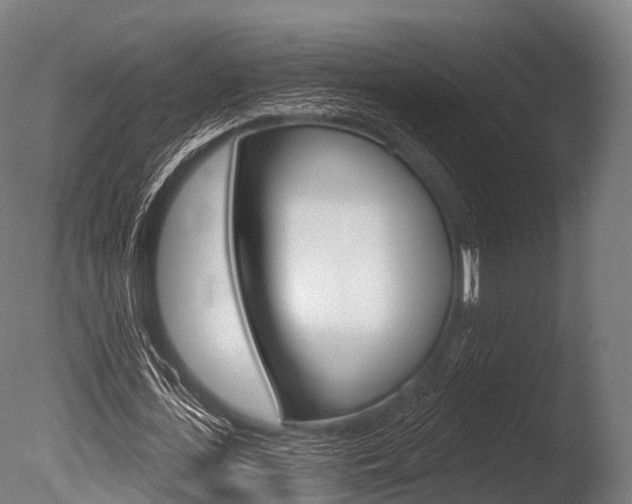 X0000086050723200703230920