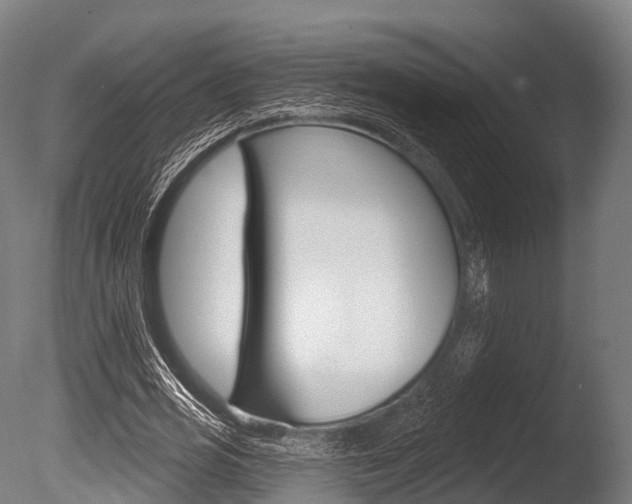 X0000086050725200703230920