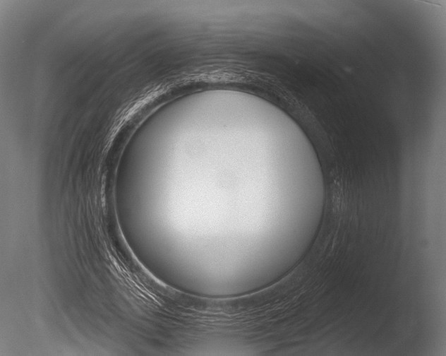 X0000086050727200703230920