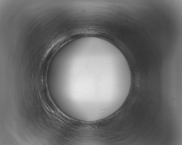 X0000086050731200703230920