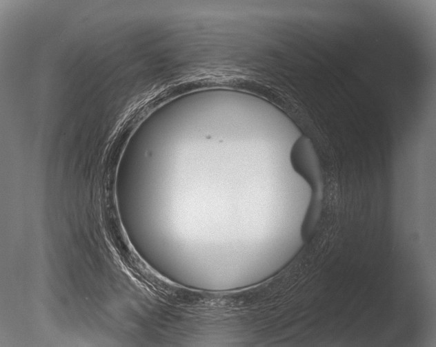 X0000086050736200703230920