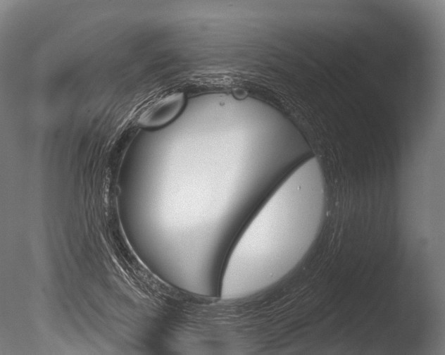X0000086050739200703230920
