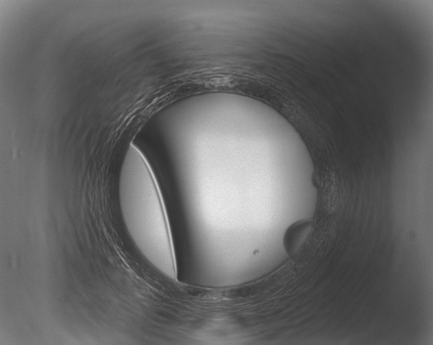 X0000086050747200703230920