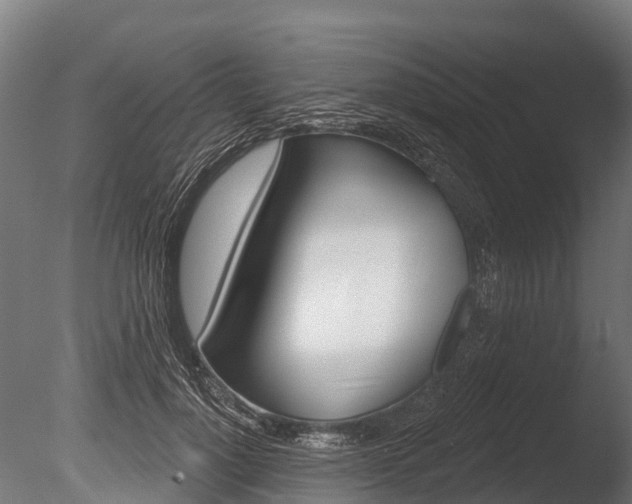 X0000086050748200703230920