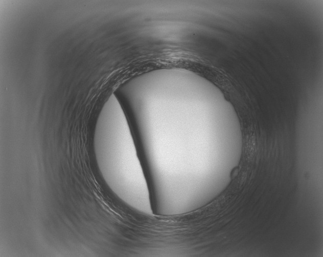 X0000086050749200703230920