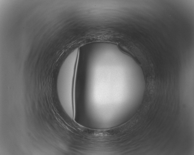 X0000086050752200703230920
