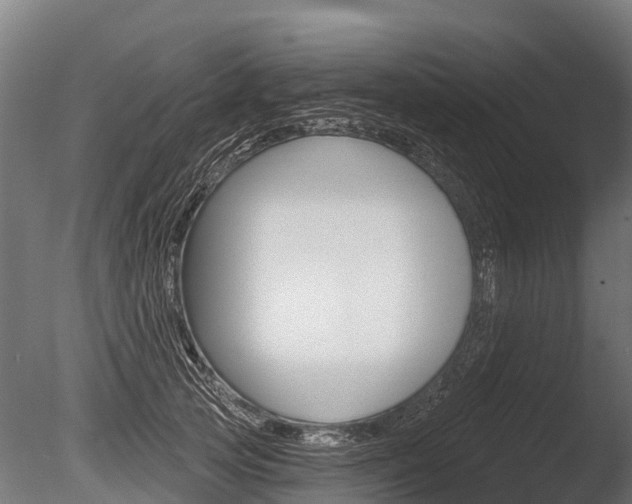 X0000086050753200703230920
