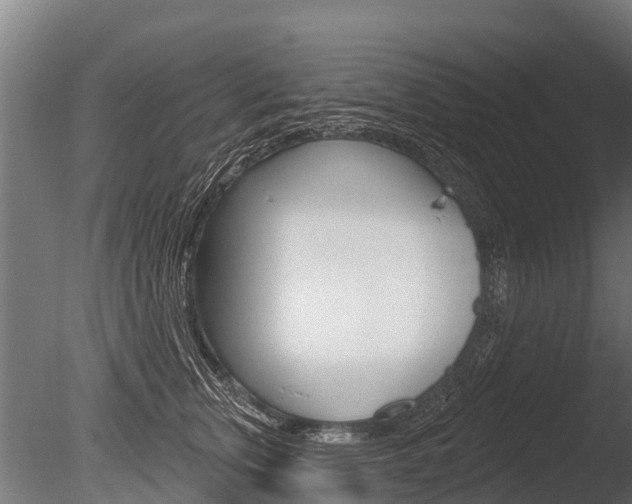 X0000086050759200703230920