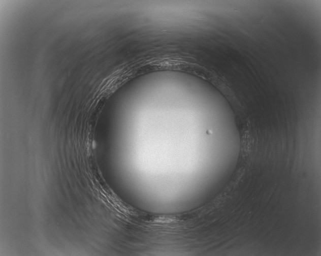 X0000086050762200703230920