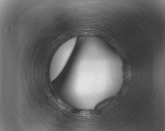 X0000086050764200703230920