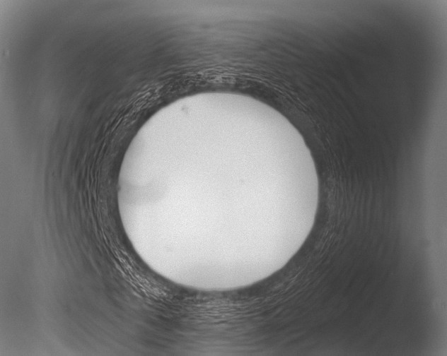 X0000086050769200703230919