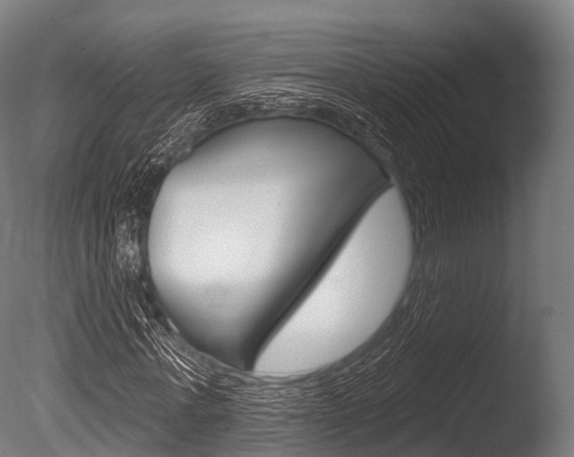 X0000086050771200703230919