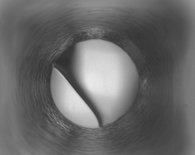 X0000086050772200703230919