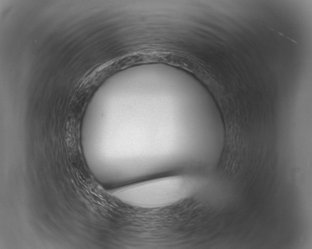 X0000086050773200703230919